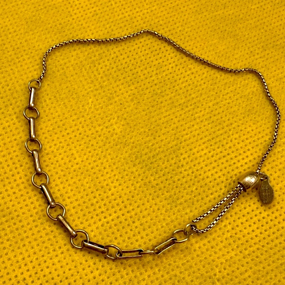 Alex and Ani Vermeil sterling silver delicate chain